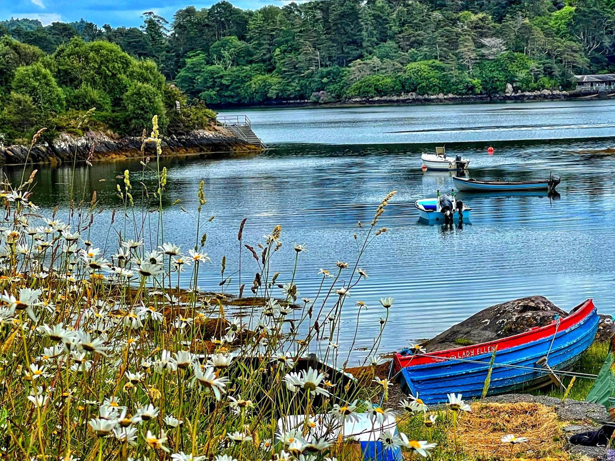 Niblick Bantry Exterior foto